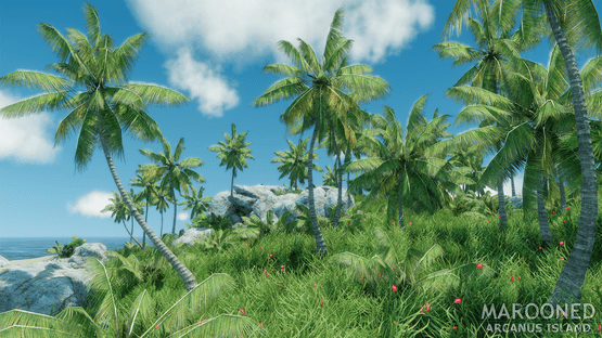 Marooned: Arcanus Island Screenshot