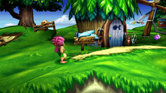 Tomba! 2: The Evil Swine Return Screenshot