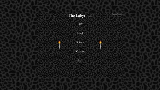 The Labyrinth cover