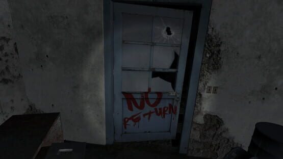 The Hospital: Allison's Diary cover