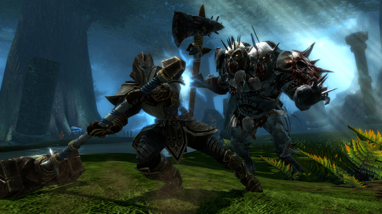 Kingdoms of Amalur: Reckoning Screenshot