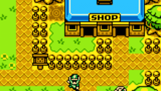 The Legend of Zelda: Oracle of Ages Screenshot