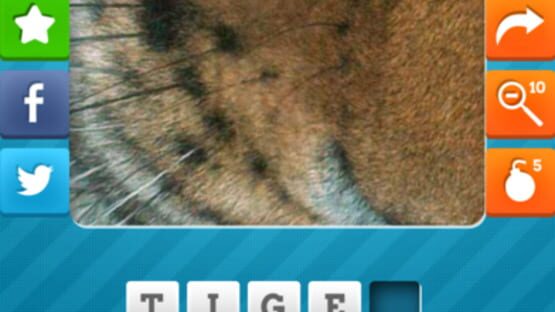 Close Up Pics - Fun Word Games screenshot