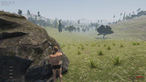 Valley of the foxes cover