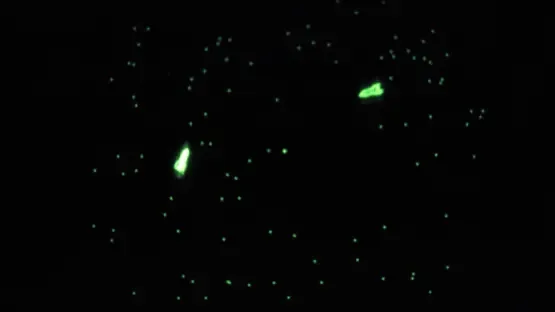 Galaxy Game gameplay screenshot 1