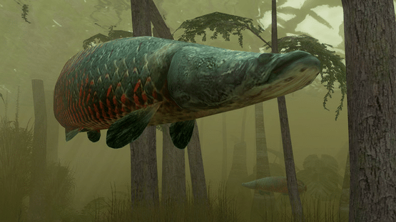 Endless Ocean: Blue World Screenshot