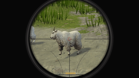 Deer Hunter Reloaded Screenshot