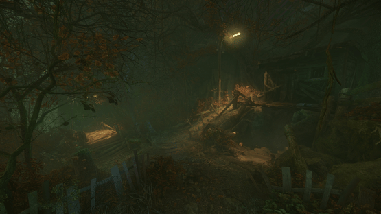 The Cursed Forest Screenshot