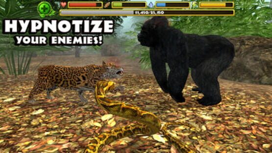 Thumbnail 9