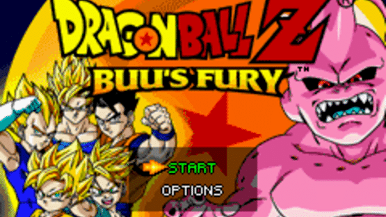 Dragon Ball Z: Buu's Fury Screenshot