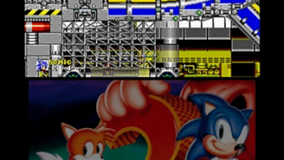 3D Sonic the Hedgehog 2 Screenshot