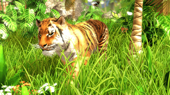 Wildlife Park 3 Screenshot