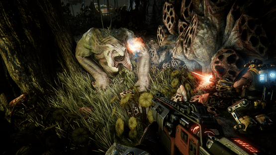 Evolve Screenshot