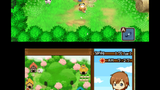 Harvest Moon: The Tale of Two Towns Screenshot