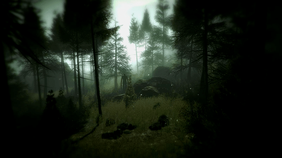 Slender: The Arrival Screenshot