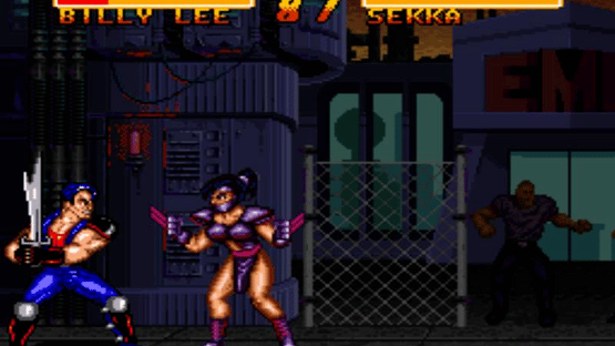 Double Dragon V: The Shadow Falls Screenshot