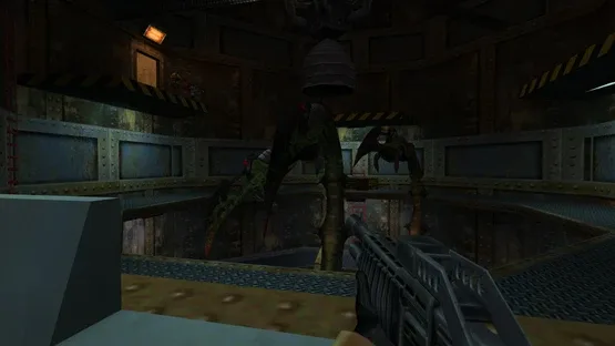 Thumbnail 13