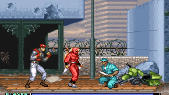 Ninja Warriors Screenshot