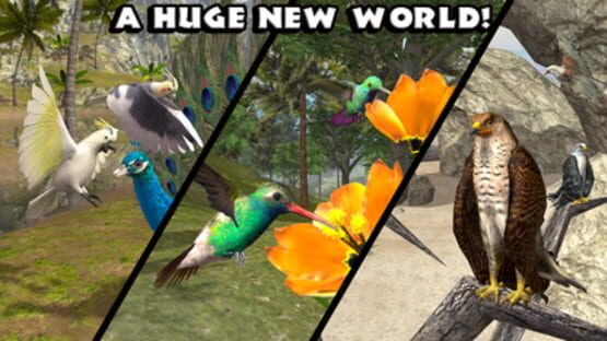 Ultimate Bird Simulator screenshot