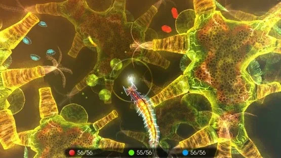 Thumbnail 12
