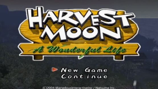 Harvest Moon: A Wonderful Life Screenshot