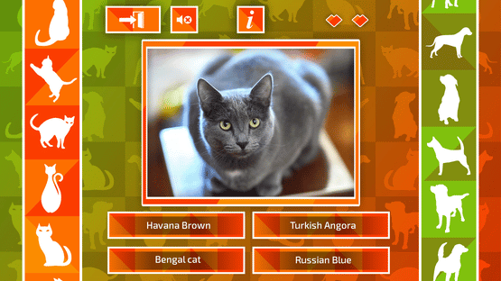 JQ: dogs & cats Screenshot