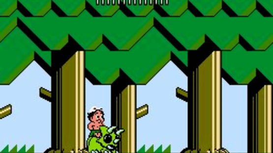 Adventure Island 3 Screenshot