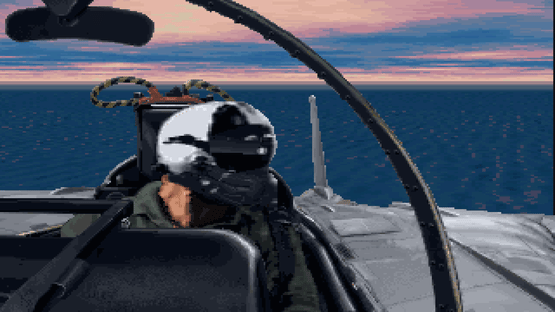 Fleet Defender: The F-14 Tomcat Simulation Screenshot