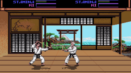 Budokan: The Martial Spirit Screenshot