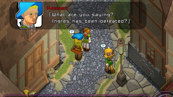 Reformers Intl Ver cover