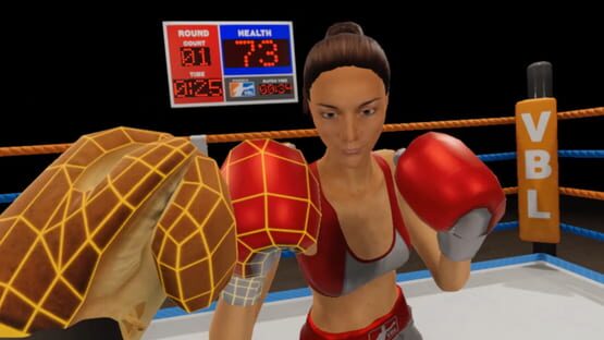 Virtual Boxing League cover