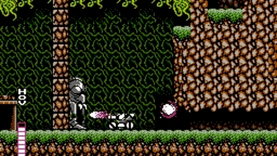 Blaster Master Screenshot