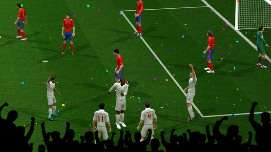 2010 FIFA World Cup South Africa Screenshot