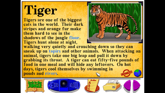 Let's Explore the Jungle Screenshot