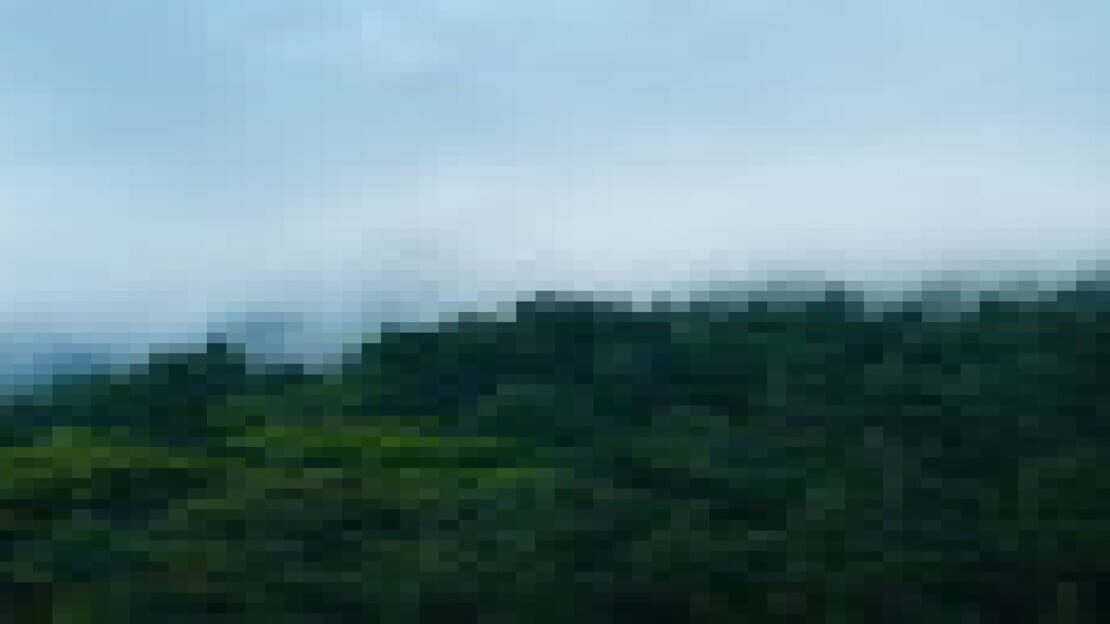 宣传原画 图片