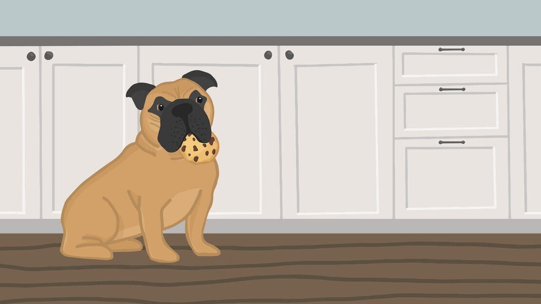 宣传原画 图片