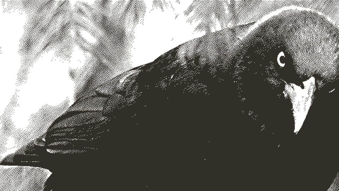 宣传原画 图片