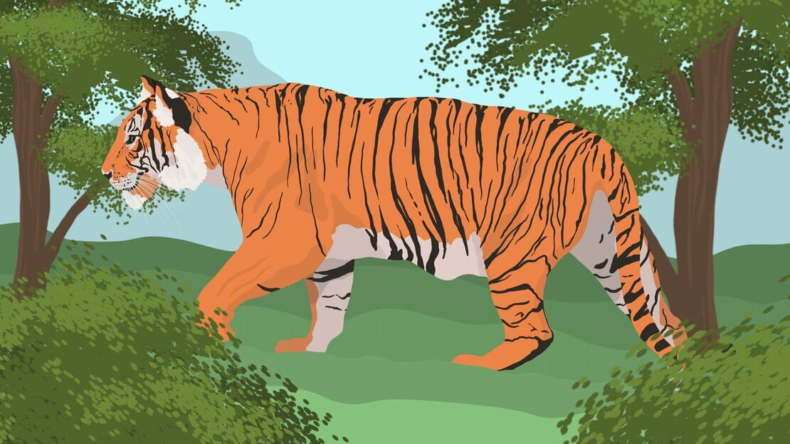 宣传原画 图片