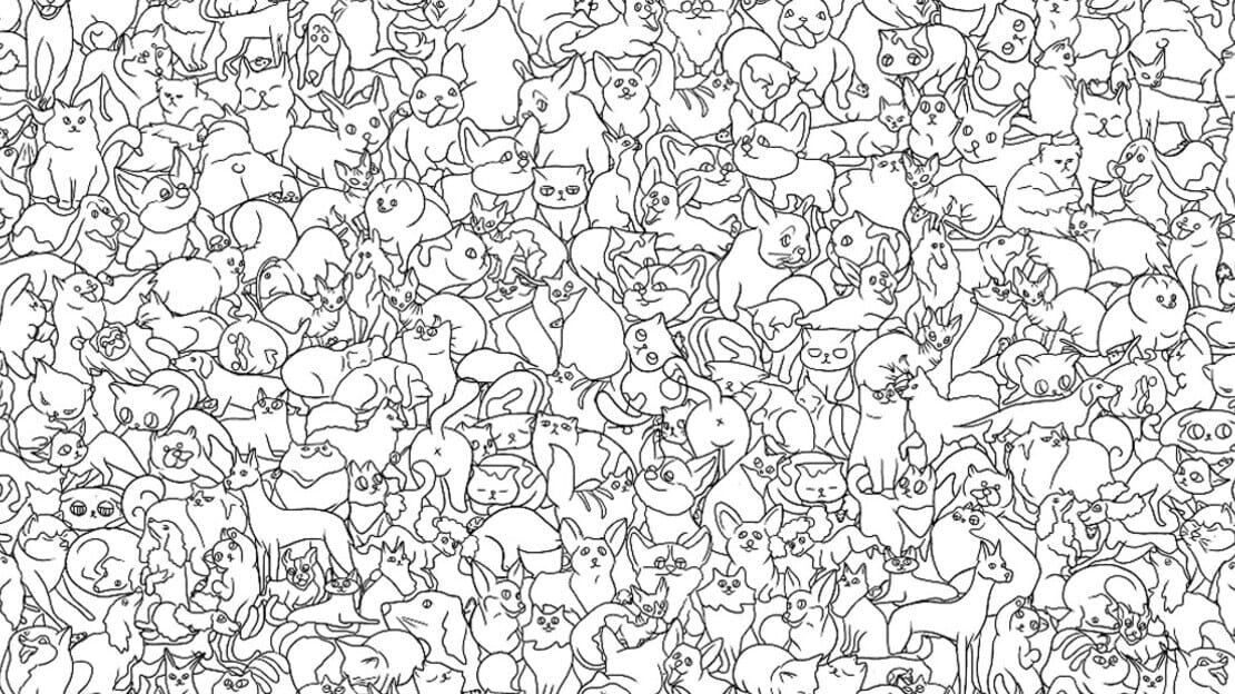宣传原画 图片