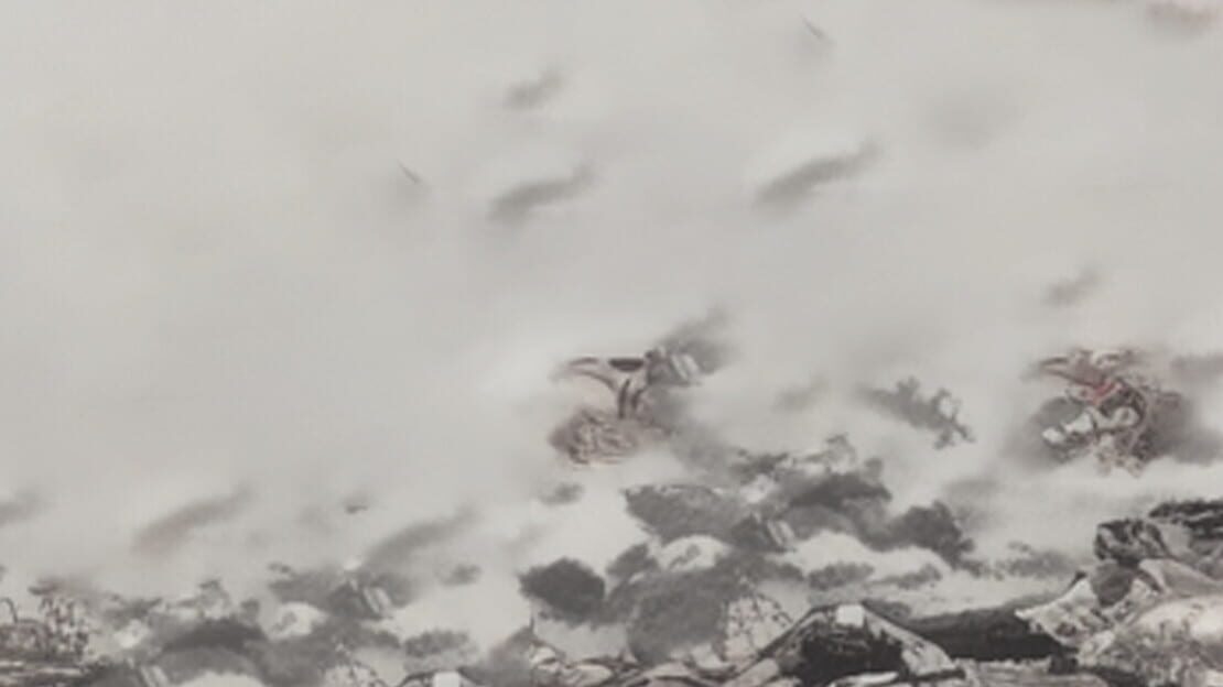 宣传原画 图片