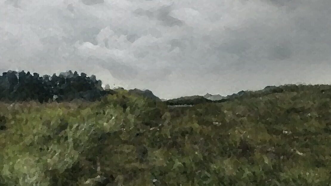 宣传原画 图片