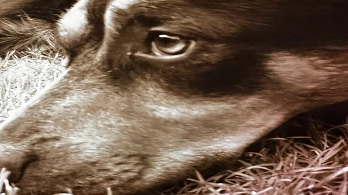 宣传原画 图片