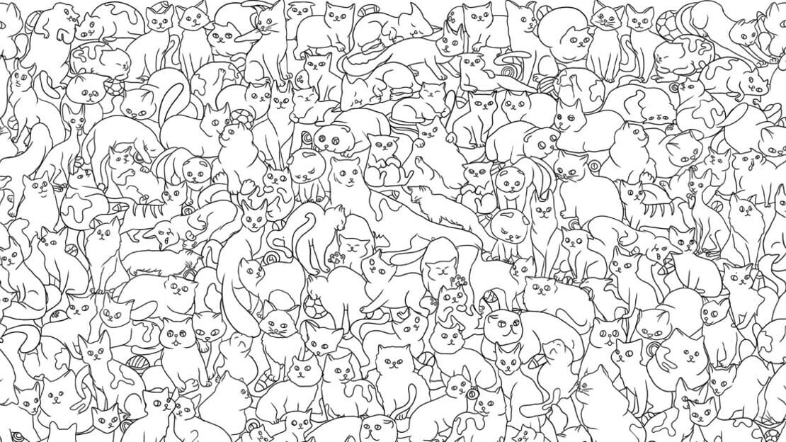 宣传原画 图片
