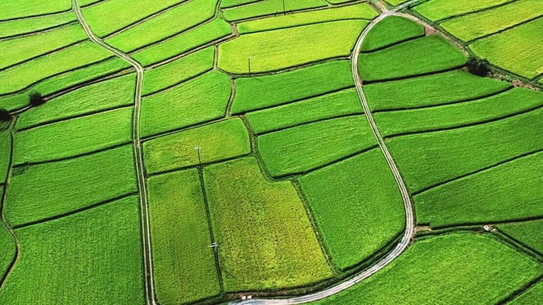 宣传原画 图片