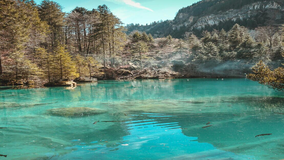 宣传原画 图片
