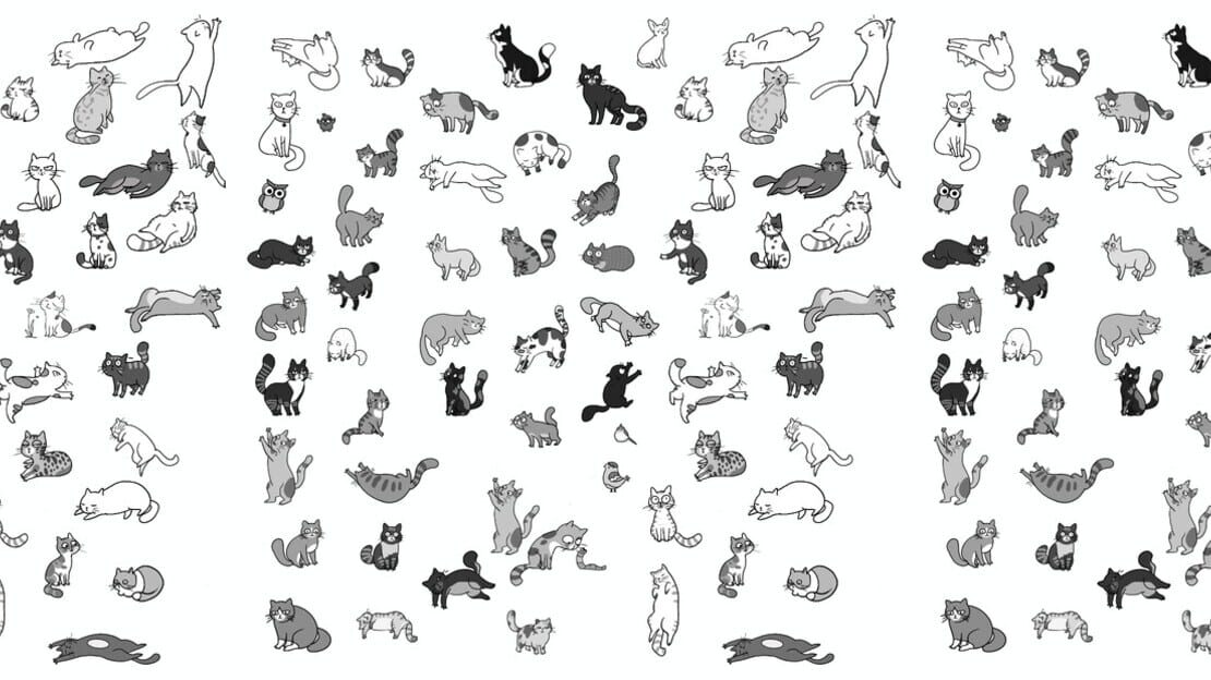 宣传原画 图片