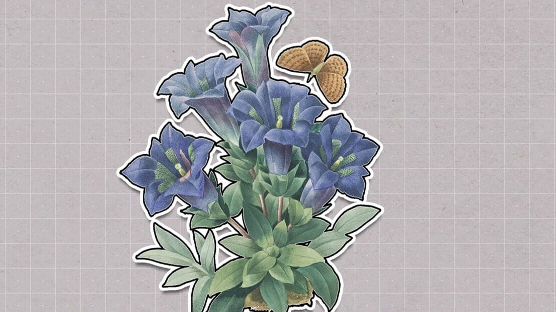 宣传原画 图片