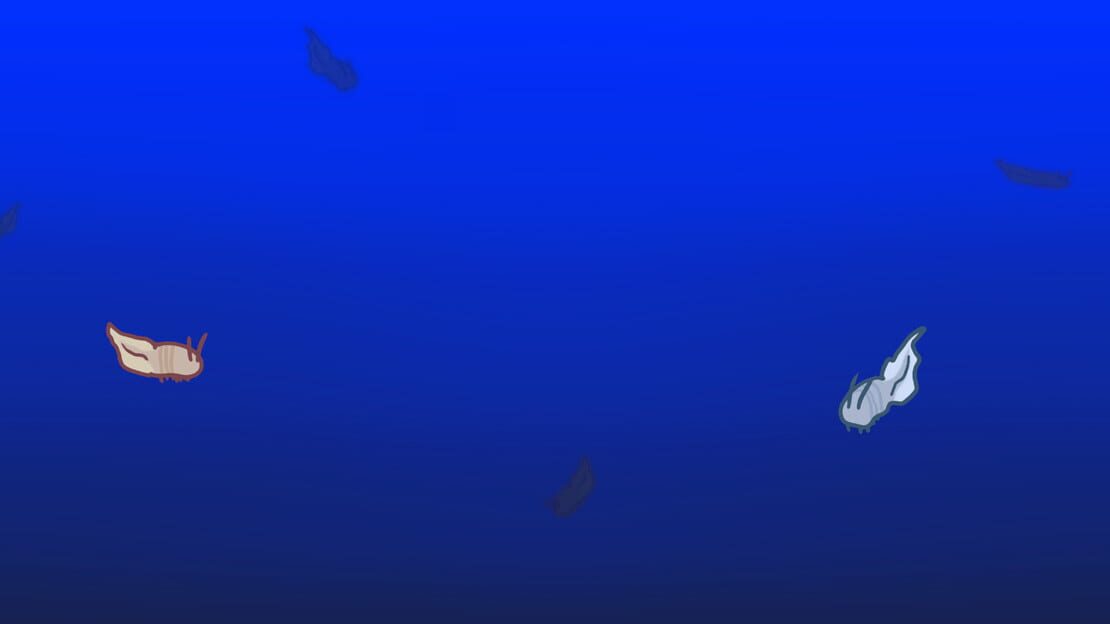 宣传原画 图片
