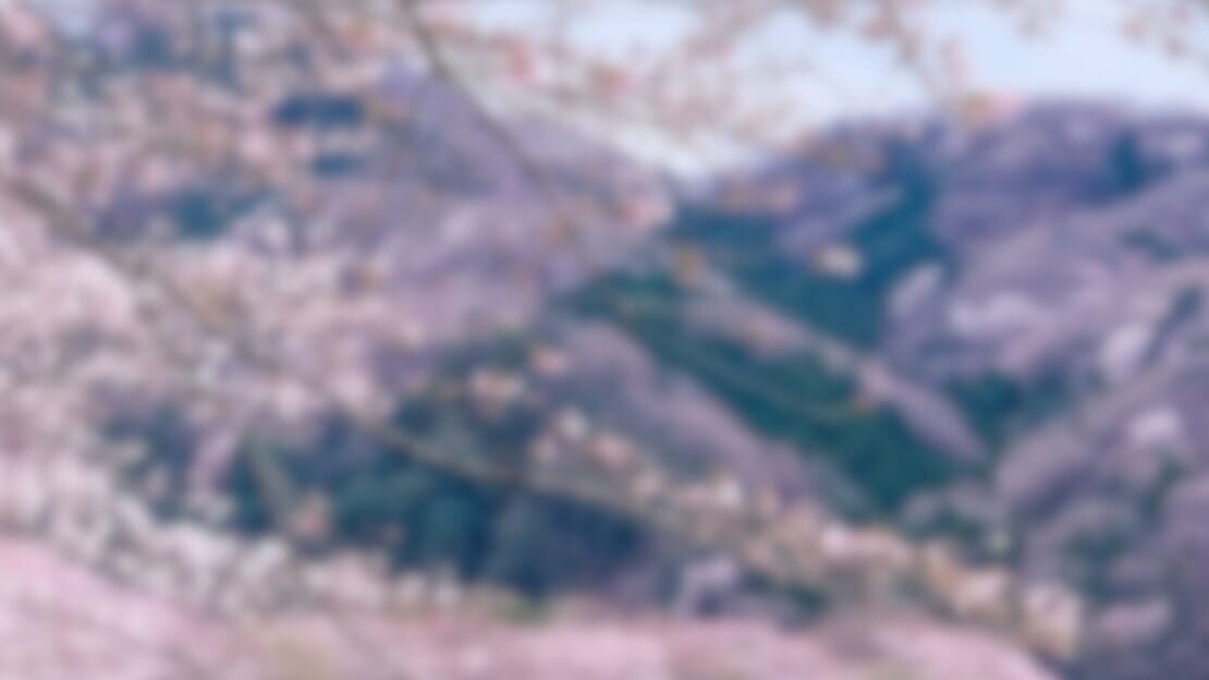 宣传原画 图片