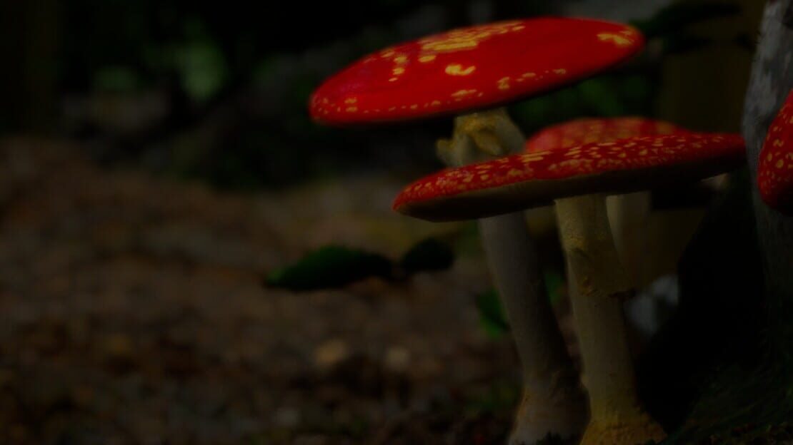 宣传原画 图片